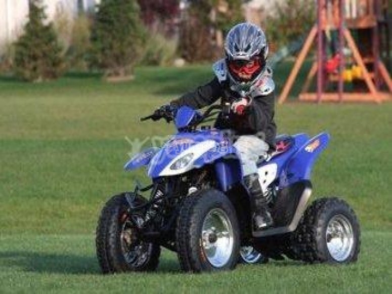 Tus hijos descubrirán un nuevo hobby Tus hijos descubrirán un nuevo hobby